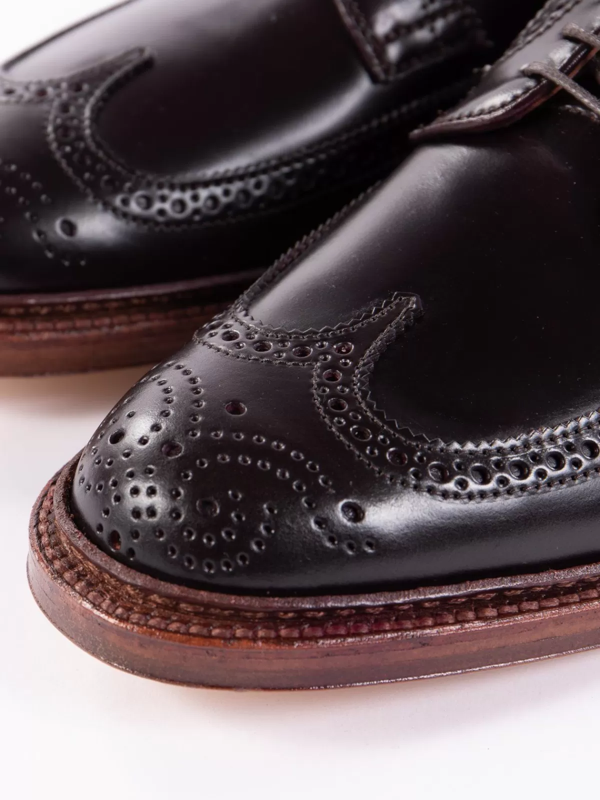 Color 8 Cordovan Long Wing Blucher^Alden for The Bureau Hot