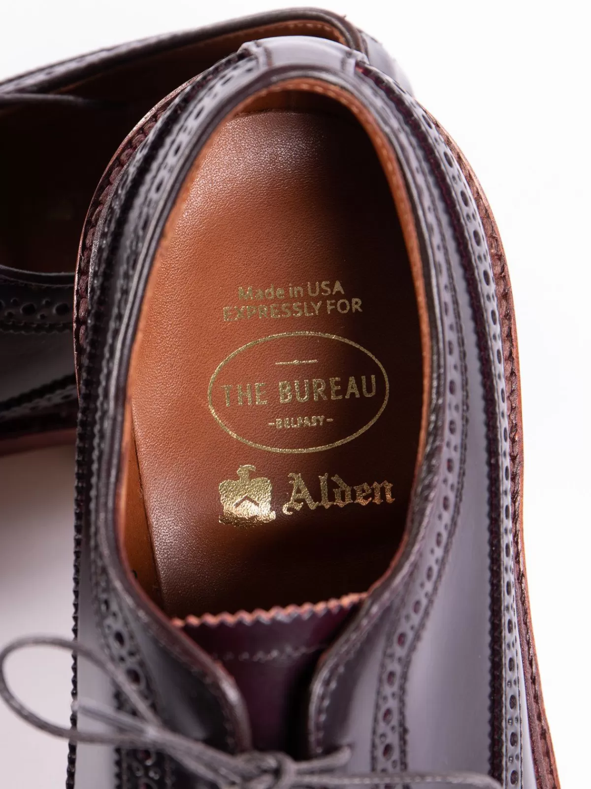 Color 8 Cordovan Long Wing Blucher^Alden for The Bureau Hot